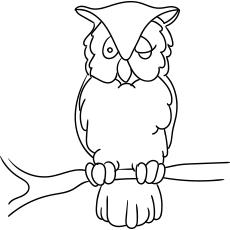 owl pictures to print and color