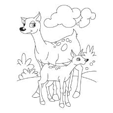 Fawns and mama deer coloring page