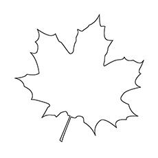 canada leaf coloring pages