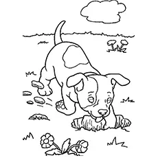 Max, the Dog by Dr. Seuss coloring page_image