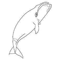 Megalodon shark coloring page