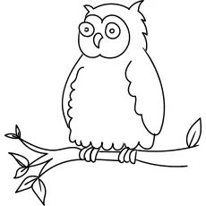 Oriental bay owl coloring page_image