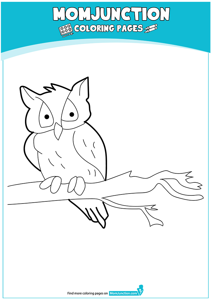 Owl-Coloring-Pages-Western-Screech-16