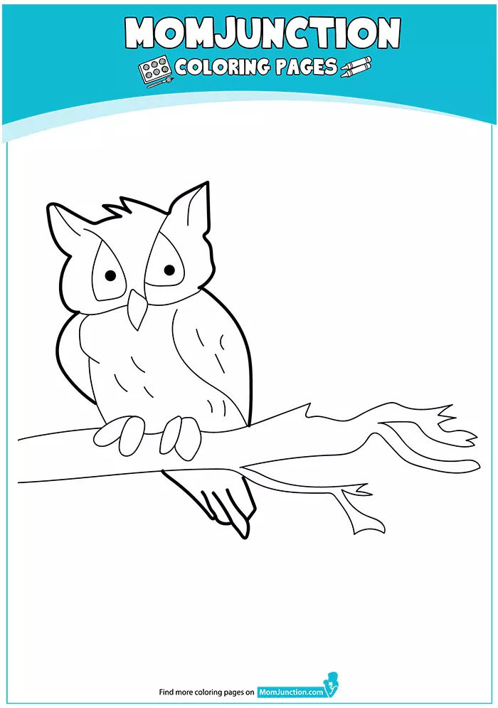 Owl-Coloring-Pages-Western-Screech-16