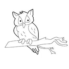 Western screech, Owl coloring pages_image