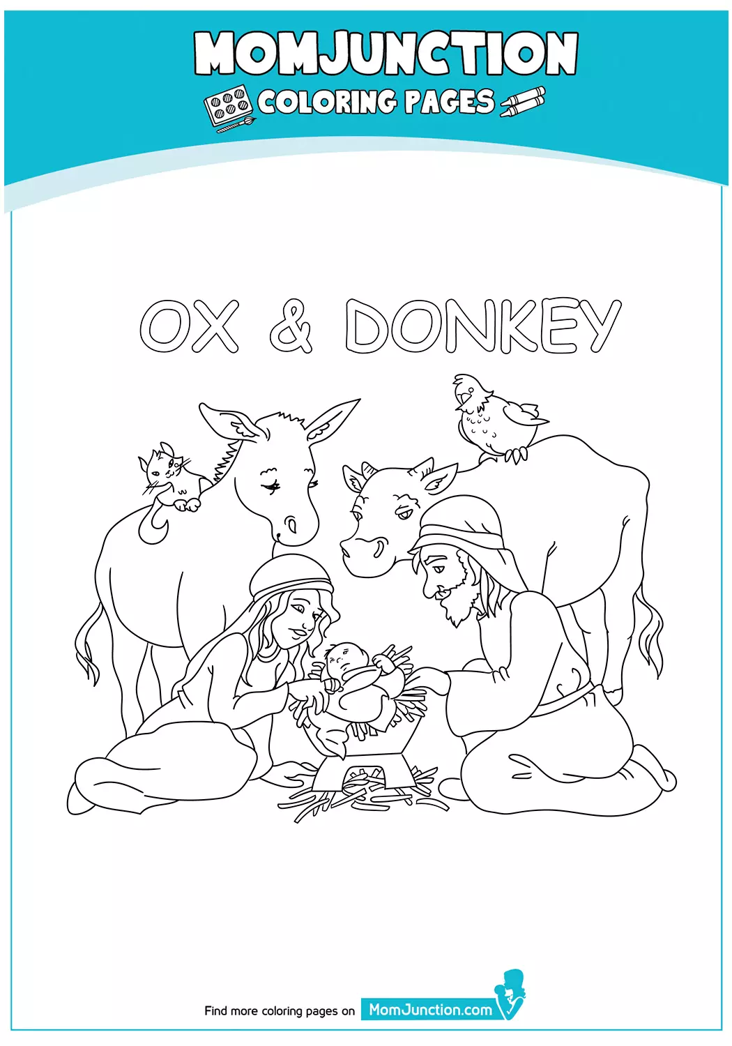 Ox-And-Donkey-17