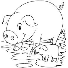 Piglet and pig coloring page_image