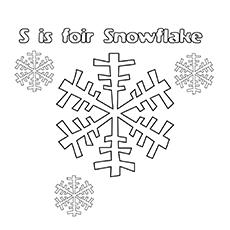 S-For-Snowflake-16