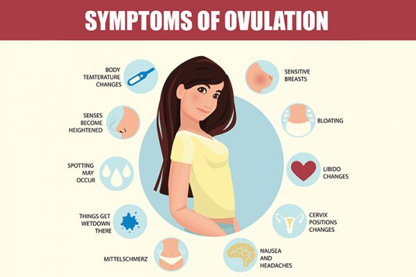 Signs And Symptoms Of Ovulation 6726