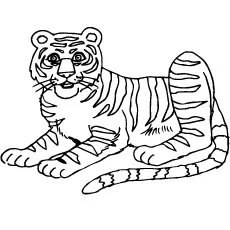 South China tiger coloring page