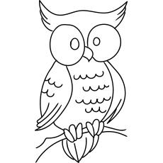 Large eye owl coloring page