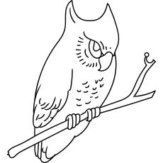 Spotted wood owl coloring page