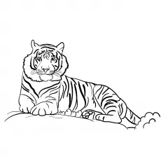 Sumatran tiger coloring page