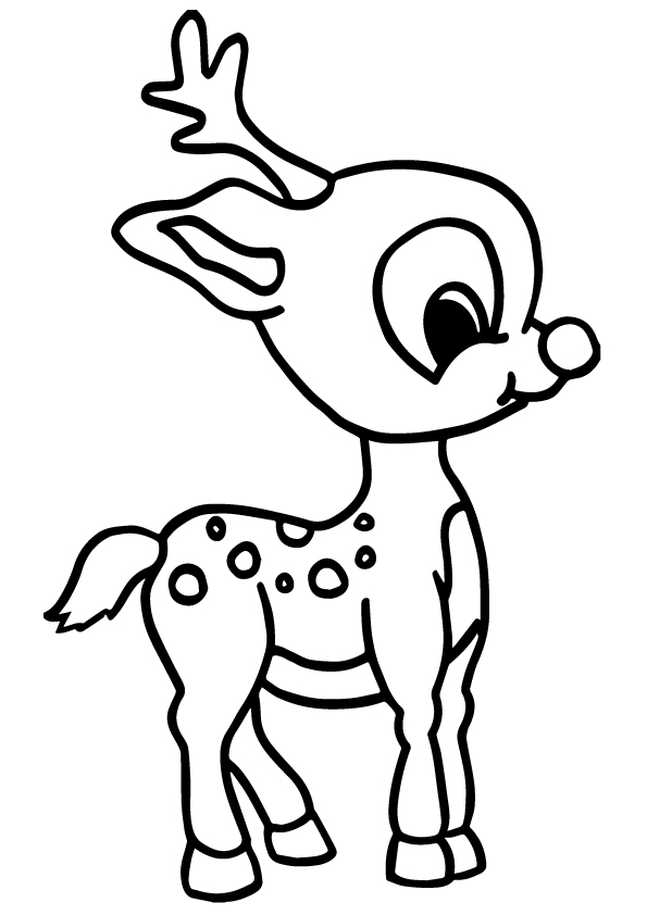 The-Cute-Baby-Deer