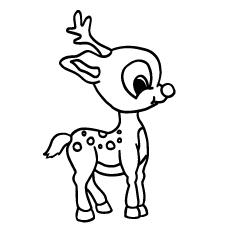 real baby deer coloring pages