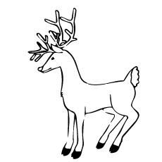 Elegant deer coloring page