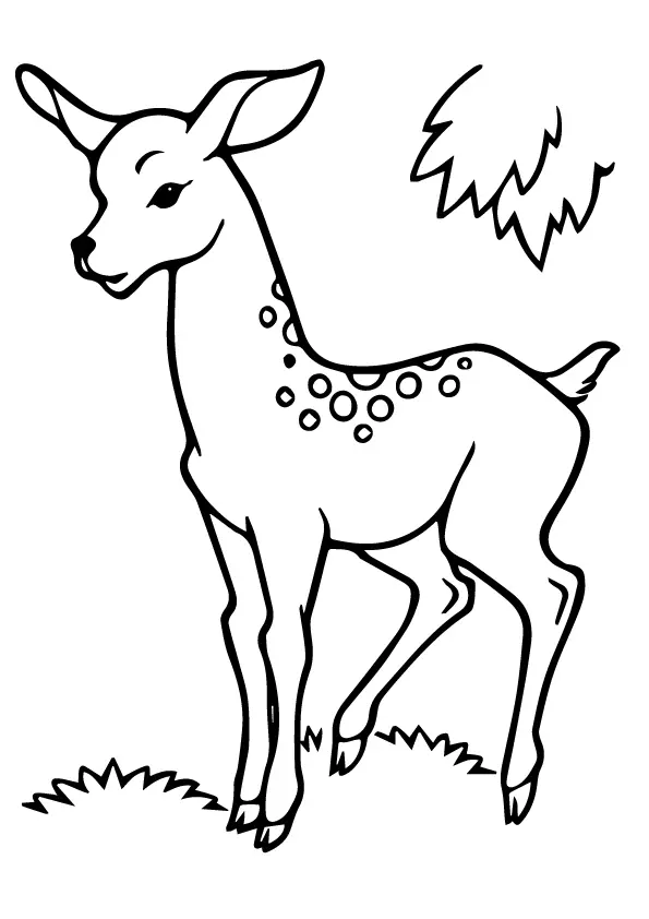 The-line-art-deer-in-forest