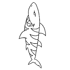 Tiger shark coloring page