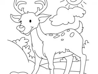 Top 20 Deer Coloring Pages For Your Little Ones