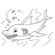 Whale shark coloring page