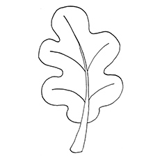 Printable white oak leaf coloring pages