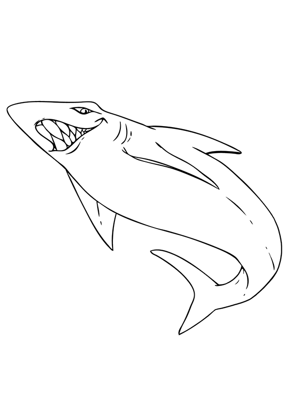 White-Tip-Reef-Shark