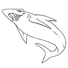 White tip reef shark coloring page