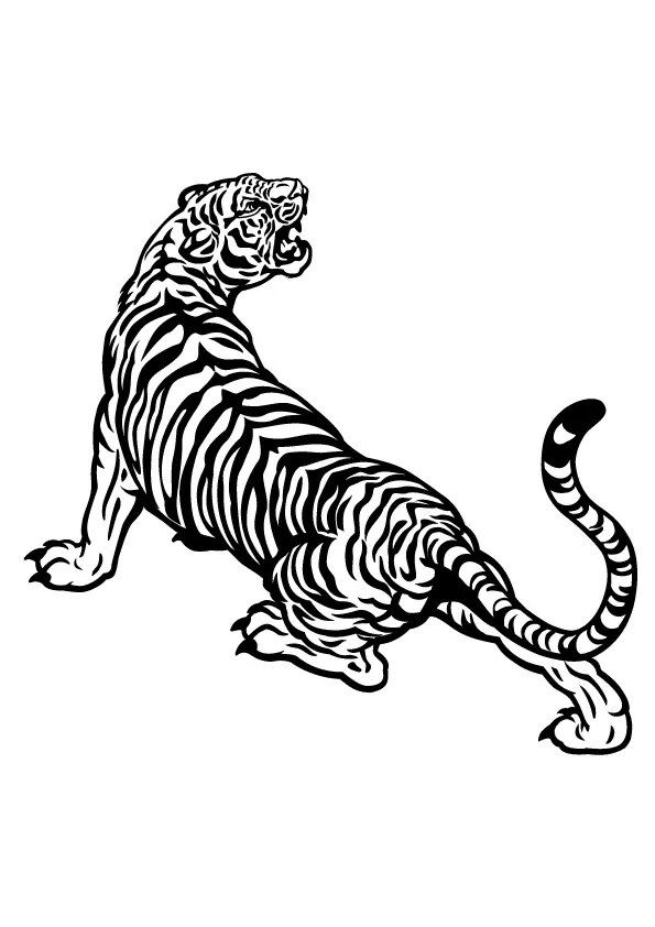 tiger-black-and-white