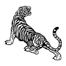 Angry tiger coloring page