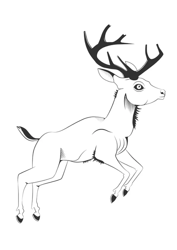 vintage-deer