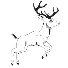 A vintage deer coloring page