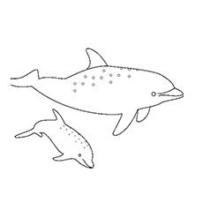 Atlantic spotted dolphin with baby coloring page