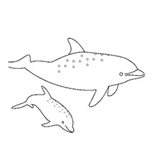 Atlantic spotted dolphin with baby coloring page