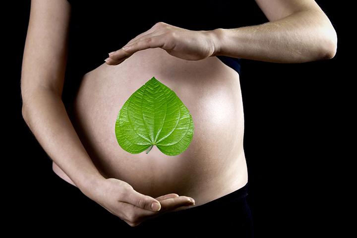  Can We Eat Betel Nut During Pregnancy PregnancyWalls