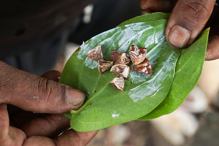 Betel nuts with Betel leaves during pregnancy could increase the risk of cancer. 