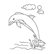 Clymene dolphin coloring page