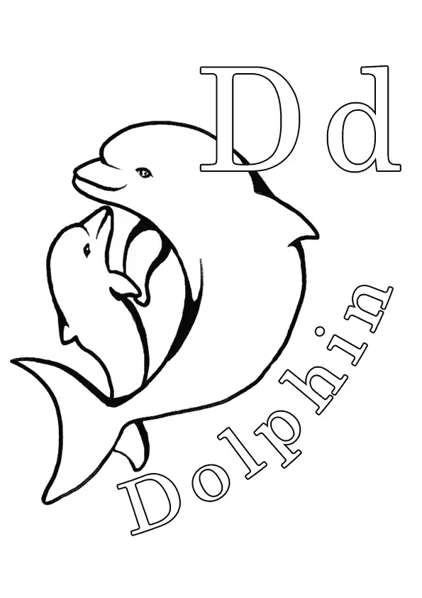 D-For-Dolphin