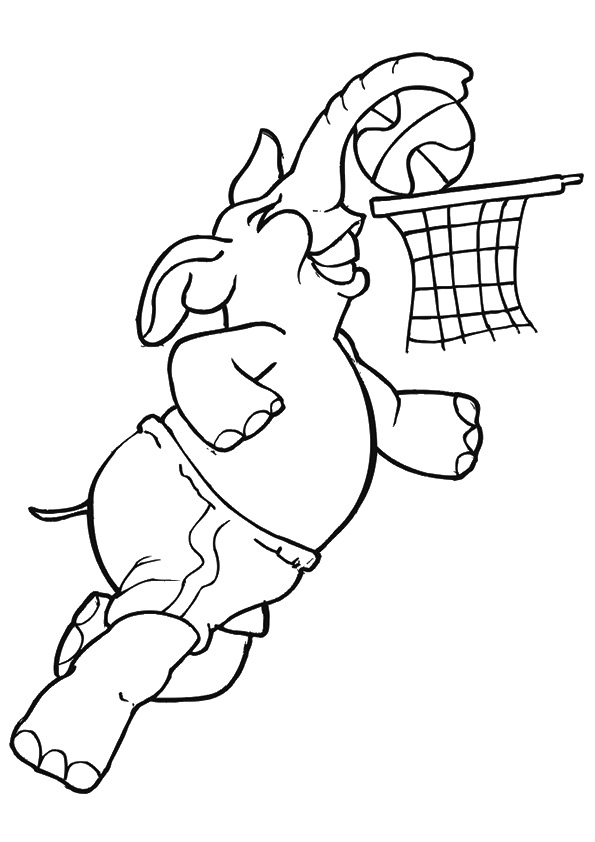 Elephant-Basketball