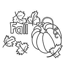 Printable Large and Small Pumpkin Coloring Page