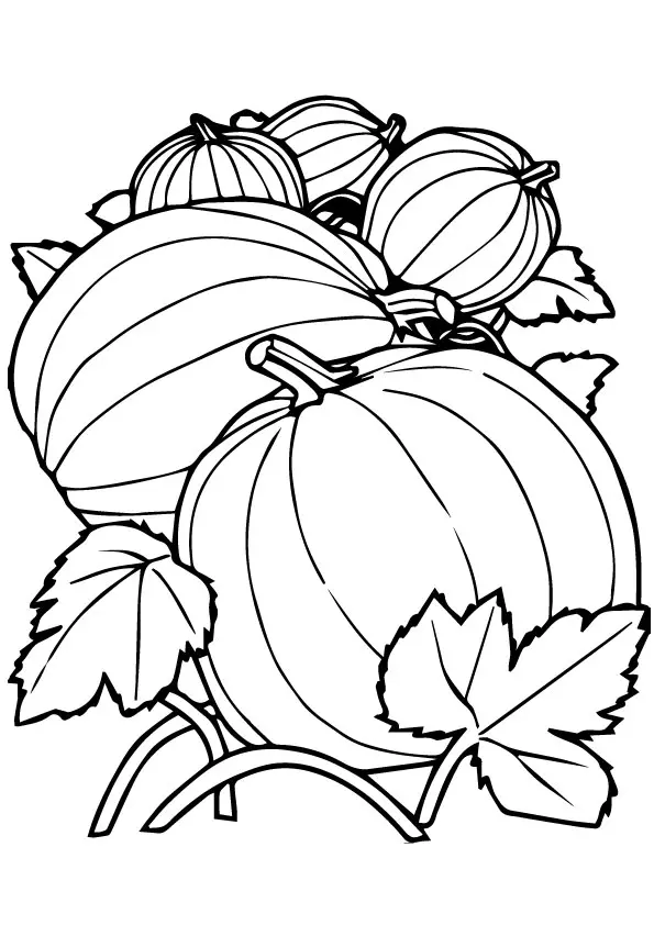 Group-Of-pumpkins