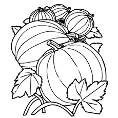 Group of pumpkins coloring pages