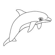 pink dolphin coloring sheets