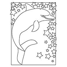 Indo pacific bottlenose dolphin coloring page