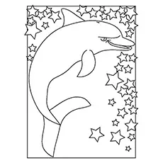 Indo pacific bottlenose dolphin coloring page