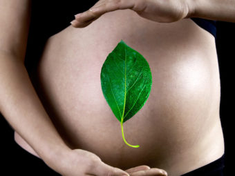 Is It Safe To Eat Betel Leaves During Pregnancy?