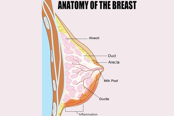 Mastitis Symptoms Causes And Treatment