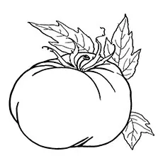One big pumpkin coloring pages