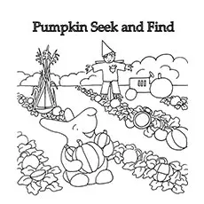 Seek and find pumpkin coloring pages