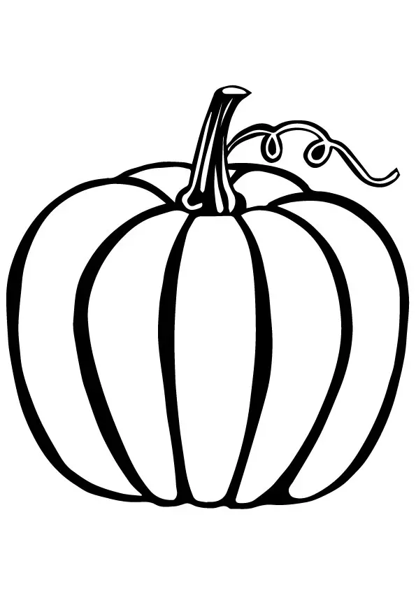 Pumpkin-The-Vegetable