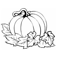 Pumpkin-With-Leaves